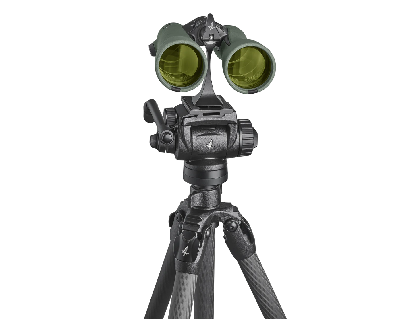Swarovski NL Pure 10x52 Binocular - EDISLA