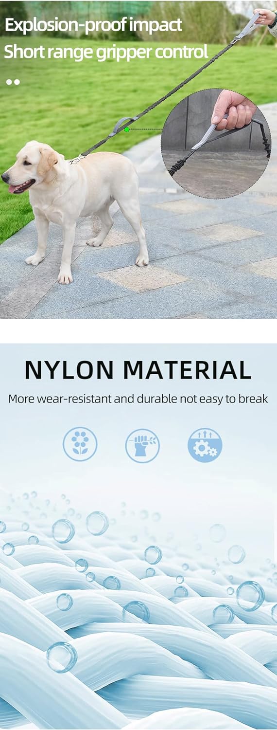 SUSRU ProPets Bungee Dog Leash - EDISLA