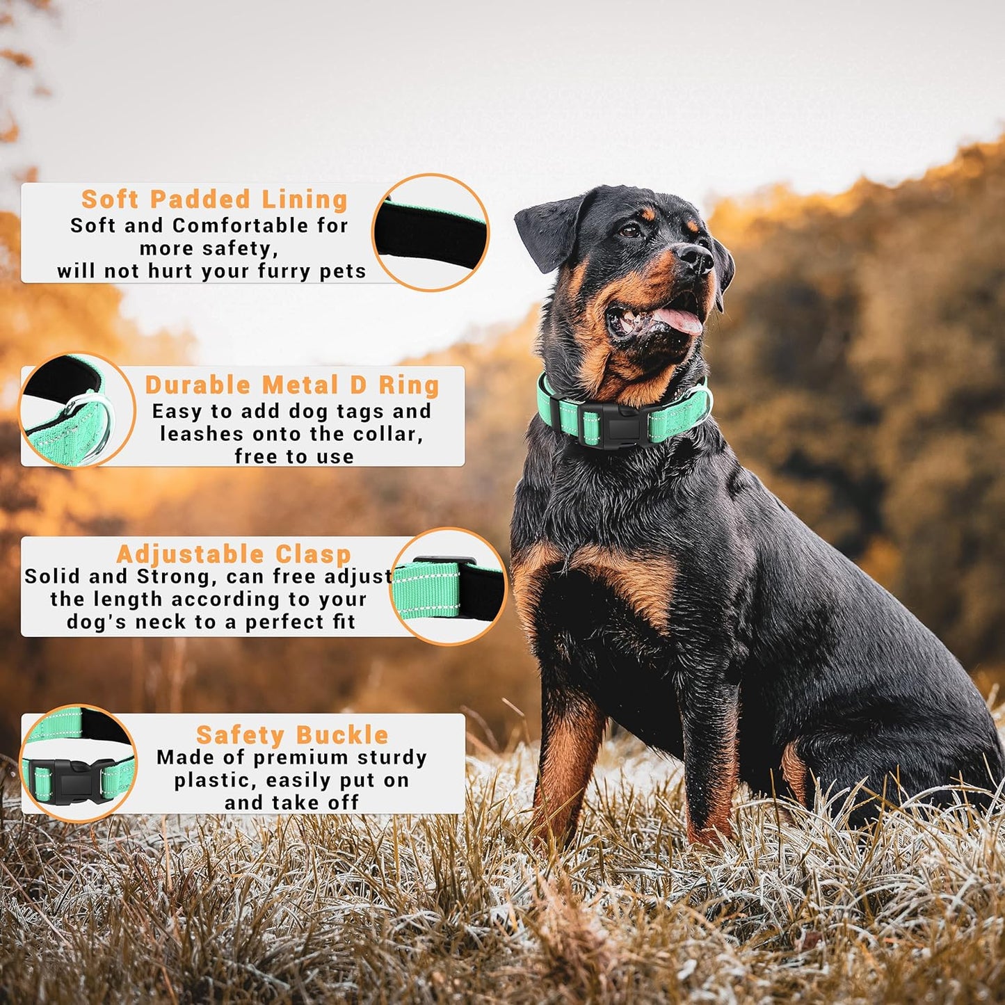 SUSRU ProPets Premium Reflective Dog Collar - EDISLA