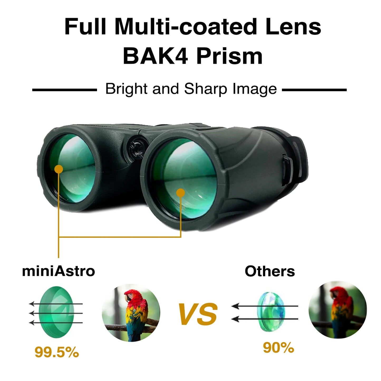 MSM NOMAD Wide View Angle FOV 15.8°, 5x25 Binoculars for NFL Games and Astro