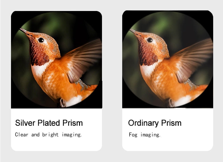 Sky Rover 10x42 Binocular (Hiking Series) - EDISLA