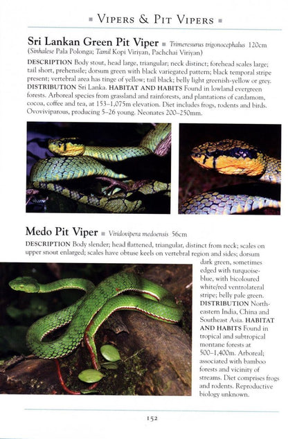 Books: A Naturalist's Guide to the Reptiles of India - EDISLA