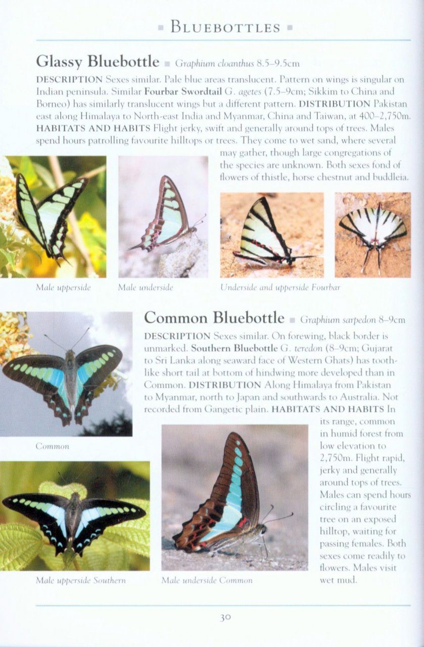 Books: A Naturalist's Guide to the Butterflies of India - EDISLA