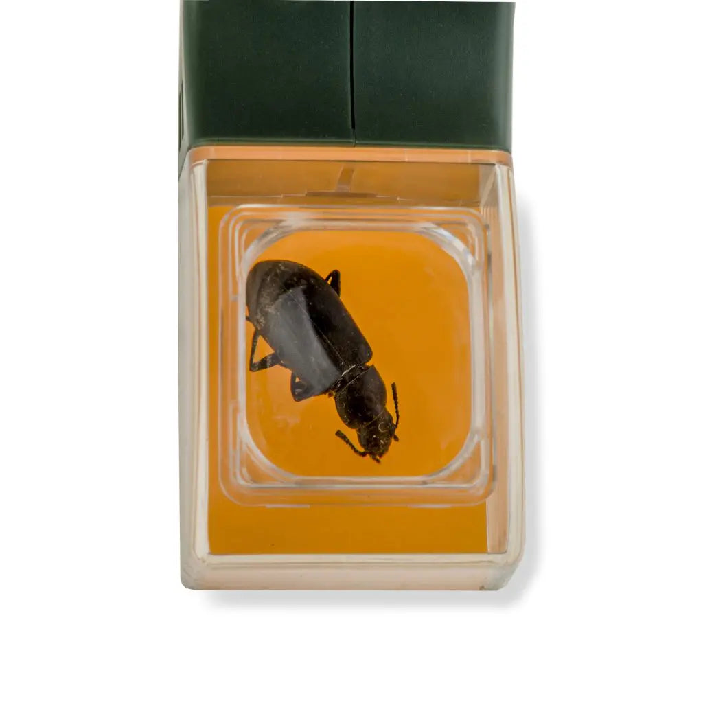 Carson Kids BugView 5x Magnifier and Quick-Release Bug Catching Tool HU-10 - EDISLA