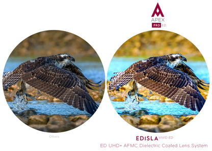 EDISLA Apex PRO ED Binocular UHD 10x42 - EDISLA