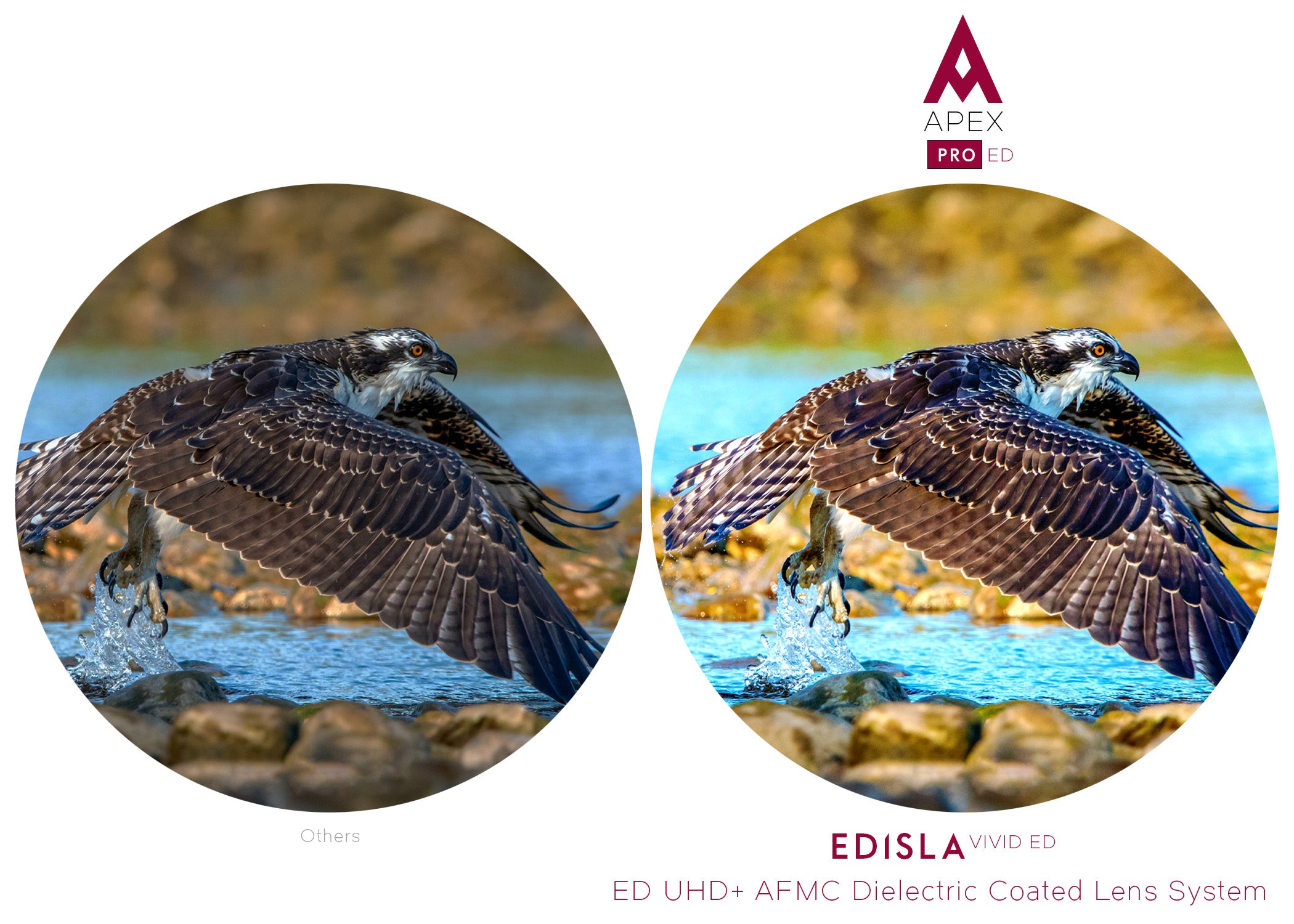 EDISLA Apex PRO ED Binocular UHD 8x42 - EDISLA