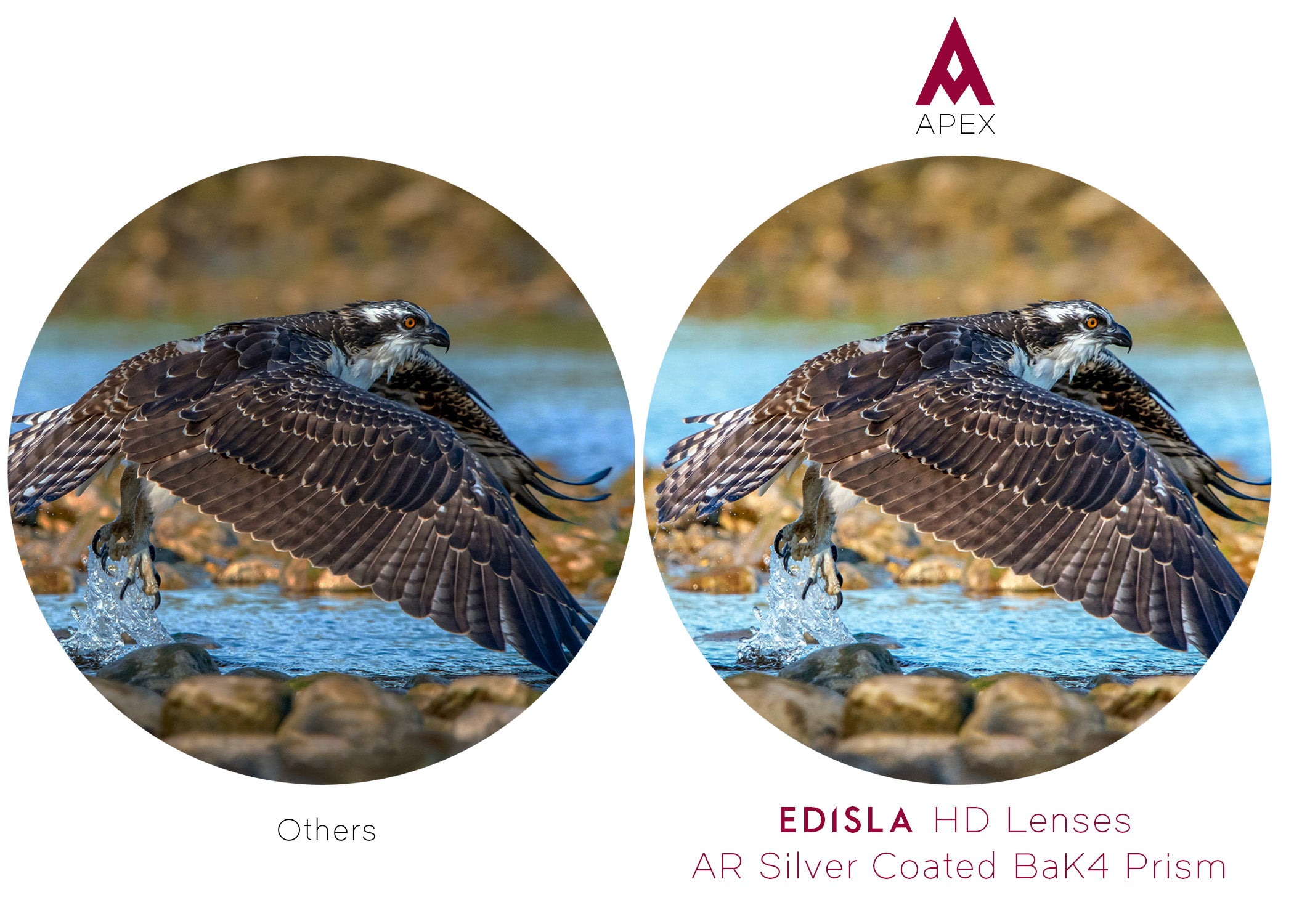 EDISLA Apex Binocular HD 10x42 - EDISLA