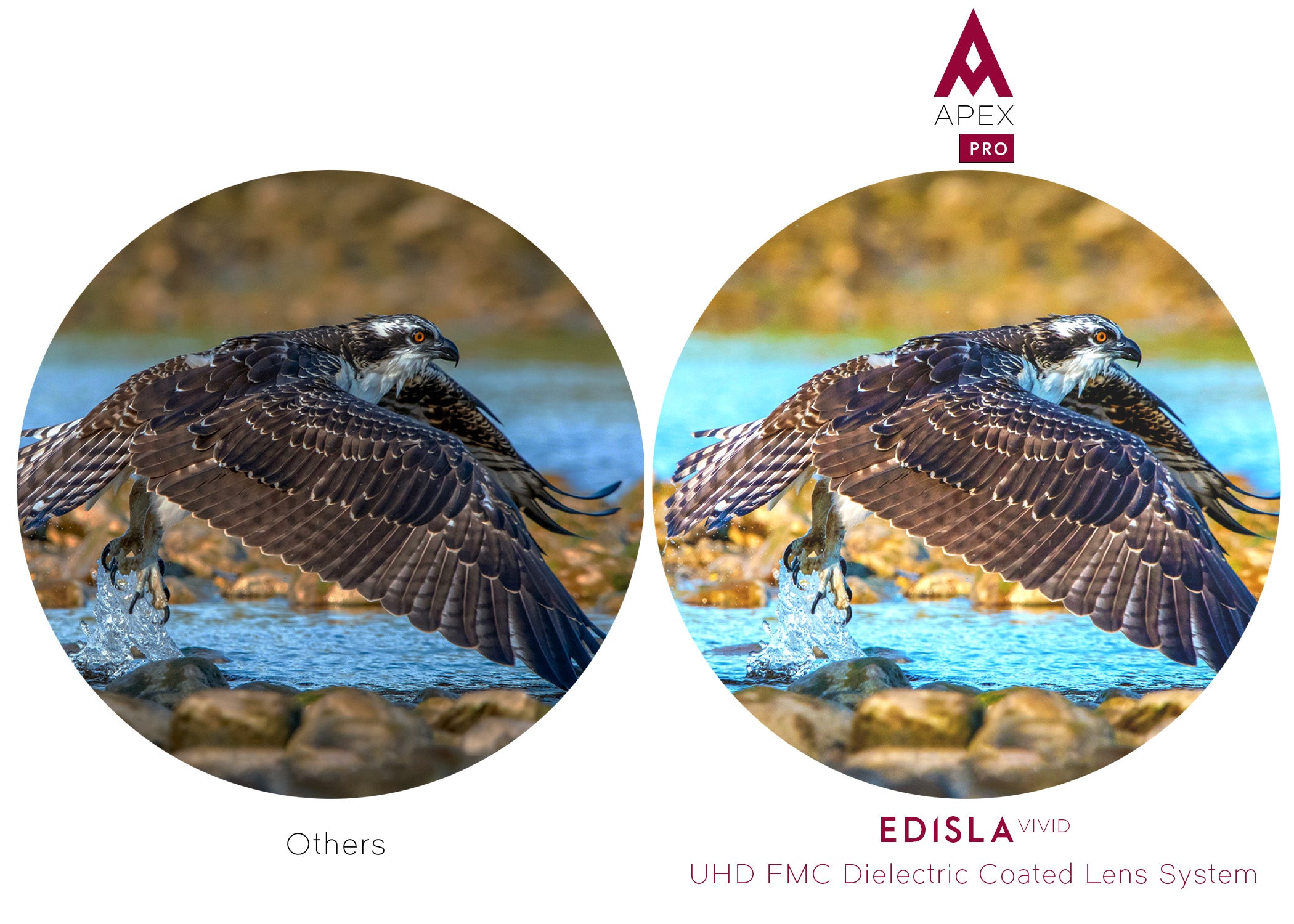 EDISLA Apex PRO Binocular UHD 8x32 - EDISLA